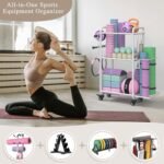 Weight Rack for Home Gym, All in One Yoga Mat Storage Rack, Workout Equipment Storage with Wheels and Hooks for Dumbbells Kettlebells Foam Rollers, Powder Coated - Image 6