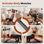 Basic Weight Bench for Home Gym, Foldable Workout Bench with 8 Backrests, 660LBS Weight Capacity Adjustable Bench - Image 3