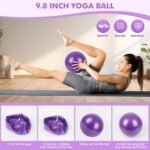 Pilates Ring Set Exercise Equipment with Exercise Bands Resistance Bands Set, Pilates Ball, Sliding Disks – Workout Equipment Home Gym Includes Complete Fitness Poster - Image 5